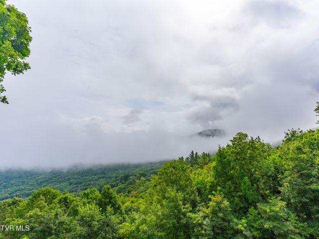 220 Roanwood Road, Roan Mountain, TN 37687