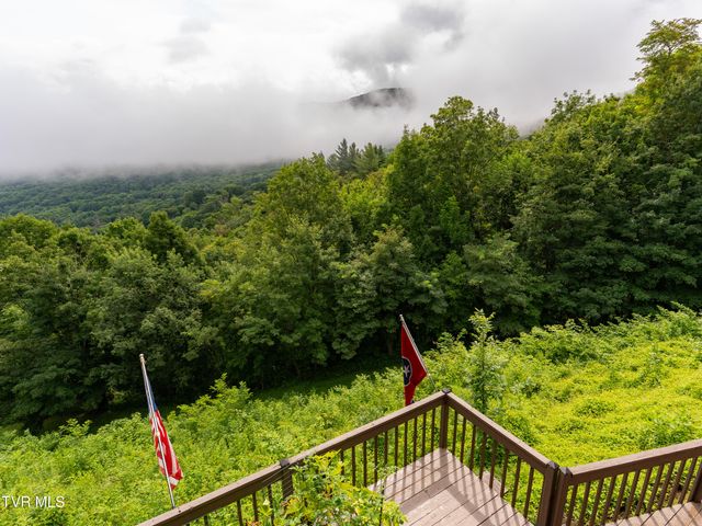 220 Roanwood Road, Roan Mountain, TN 37687