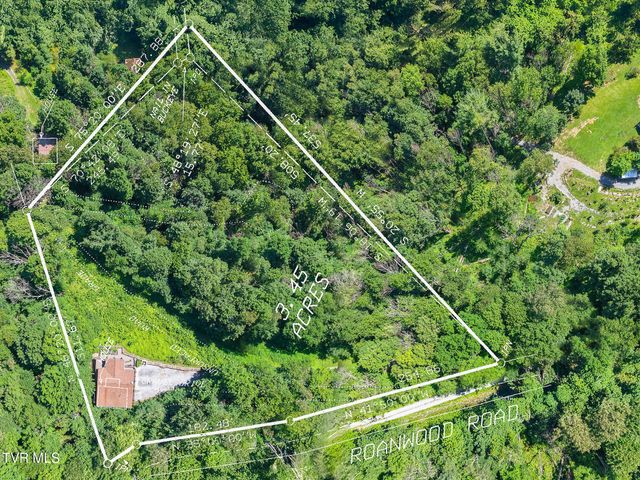 220 Roanwood Road, Roan Mountain, TN 37687