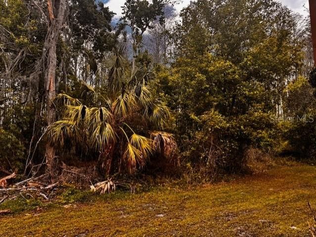 11606 BAYWOOD MEADOWS DRIVE 2, New Port Richey, FL 34654