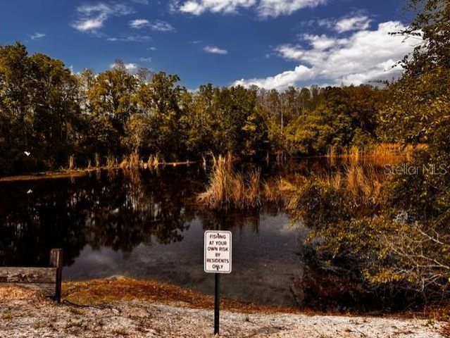 11606 BAYWOOD MEADOWS DRIVE 2, New Port Richey, FL 34654