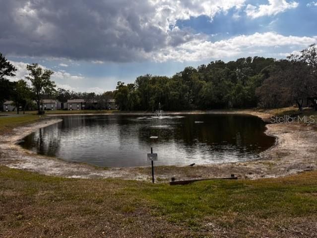 11606 BAYWOOD MEADOWS DRIVE 2, New Port Richey, FL 34654