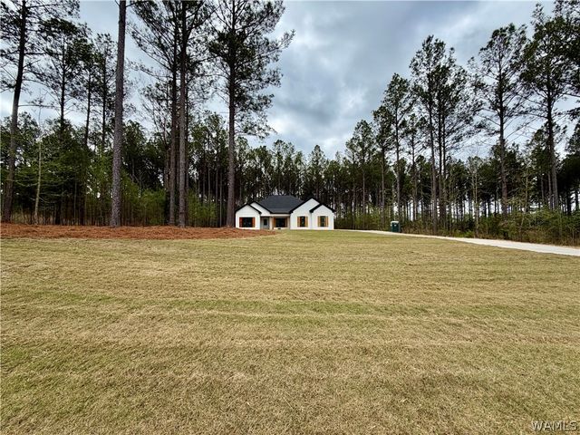 13722 Northside, Northport, AL 35475