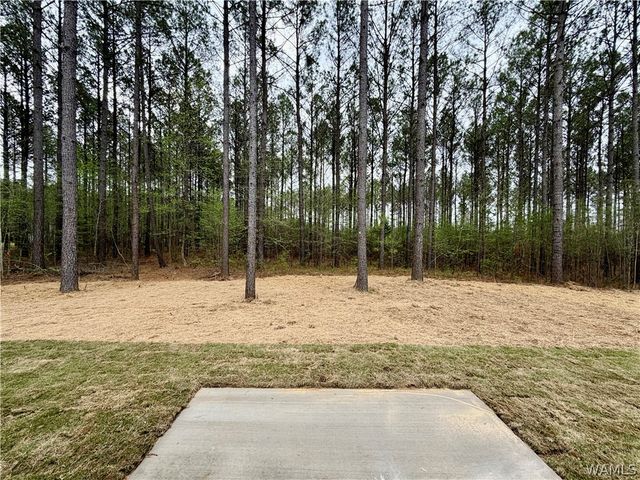 13722 Northside, Northport, AL 35475