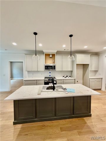 13722 Northside, Northport, AL 35475