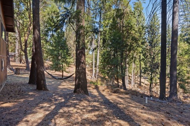 25321 Sugar Pine Dr, Pioneer, CA 95666