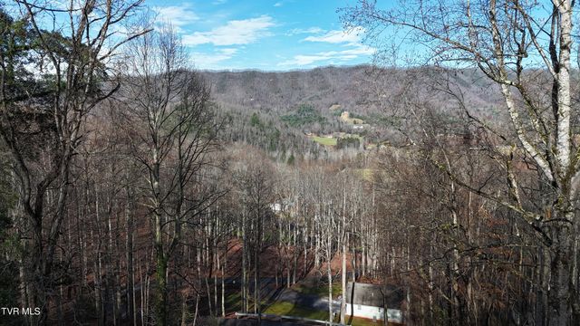 591 Deer Haven Road, Unicoi, TN 37692