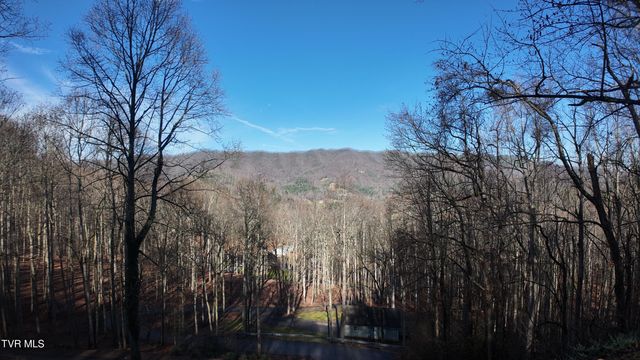 591 Deer Haven Road, Unicoi, TN 37692