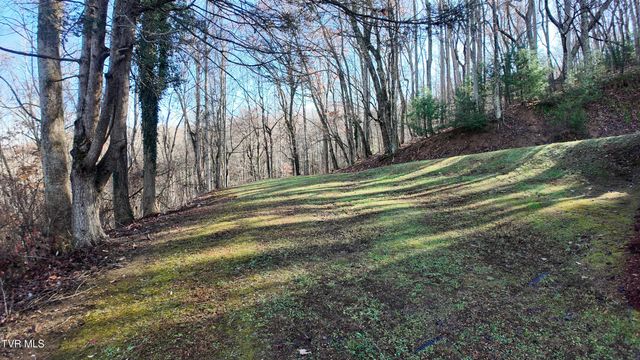591 Deer Haven Road, Unicoi, TN 37692