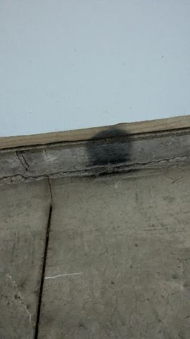 7909 11 Mile Road, Bear Lake, MI 49614