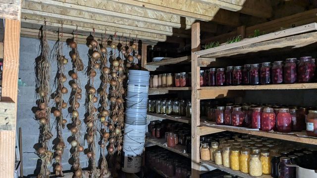 7909 11 Mile Road, Bear Lake, MI 49614