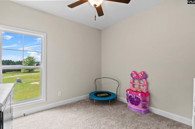 1260 Cedar Creek Road, Swansea, SC 29160