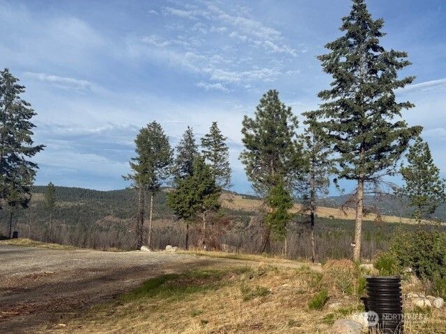 18 Risingson Drive, Tonasket, WA 98855