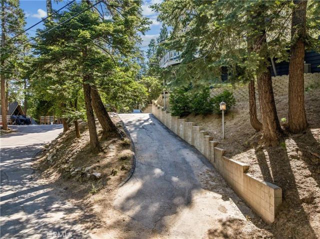 29029 Alder Terrace, Cedar Glen, CA 92321