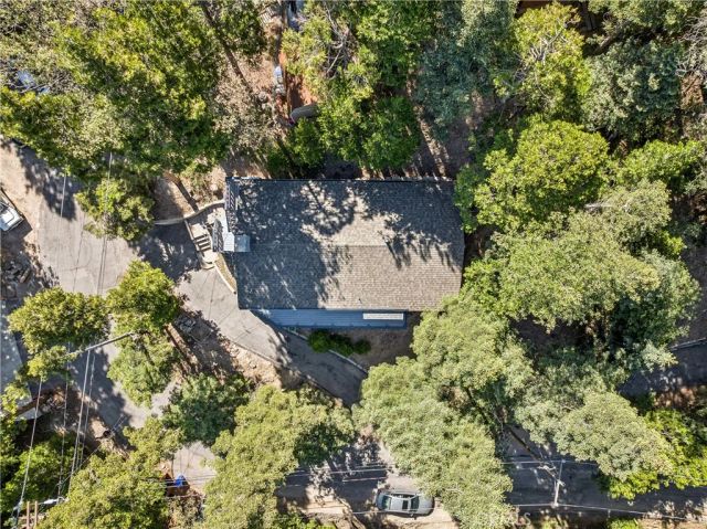 29029 Alder Terrace, Cedar Glen, CA 92321