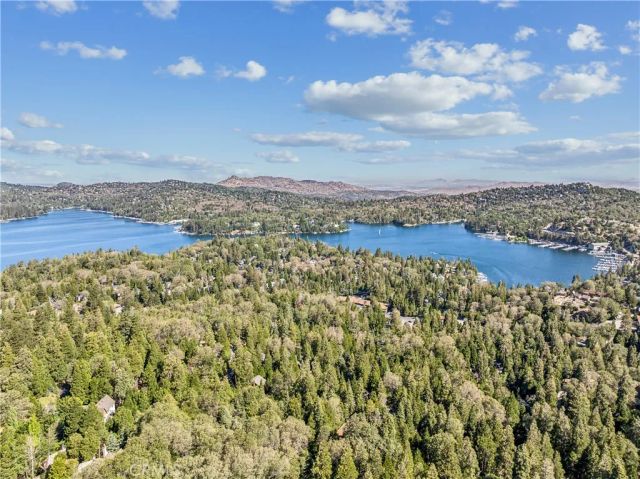 29029 Alder Terrace, Cedar Glen, CA 92321