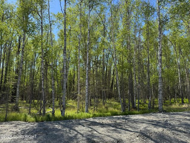4656 N Baloo Drive, Wasilla, AK 99654