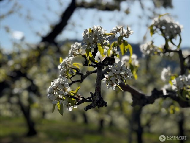 8612 Ludwig Hill Road, Peshastin, WA 98847