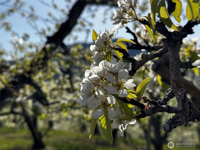 8612 Ludwig Hill Road, Peshastin, WA 98847