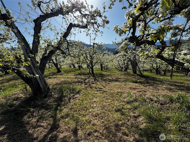 8612 Ludwig Hill Road, Peshastin, WA 98847