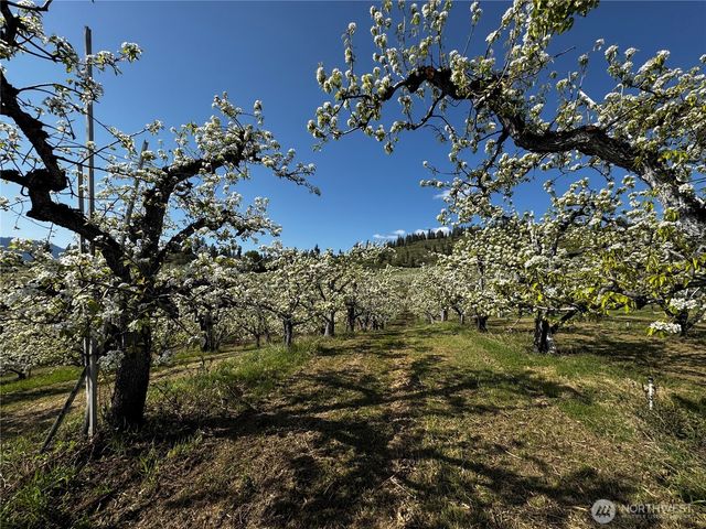 8612 Ludwig Hill Road, Peshastin, WA 98847