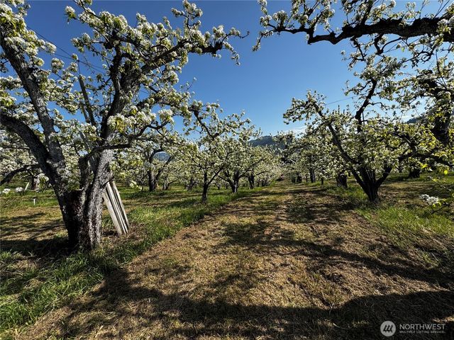 8612 Ludwig Hill Road, Peshastin, WA 98847