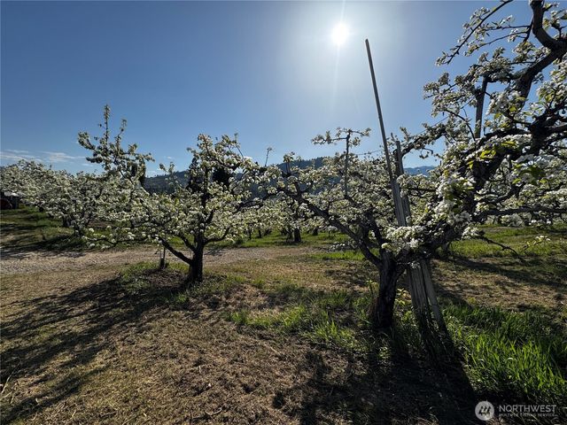 8612 Ludwig Hill Road, Peshastin, WA 98847