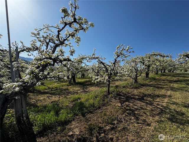 8612 Ludwig Hill Road, Peshastin, WA 98847