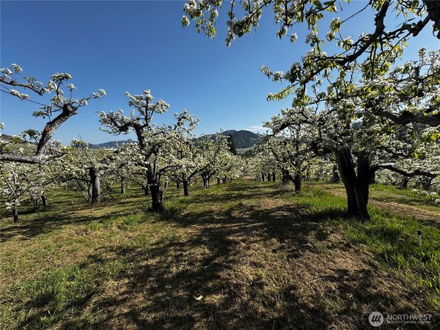 8612 Ludwig Hill Road, Peshastin, WA 98847