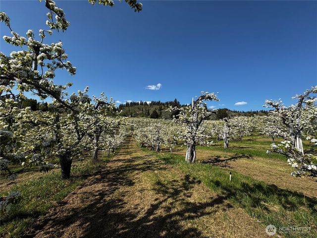 8612 Ludwig Hill Road, Peshastin, WA 98847