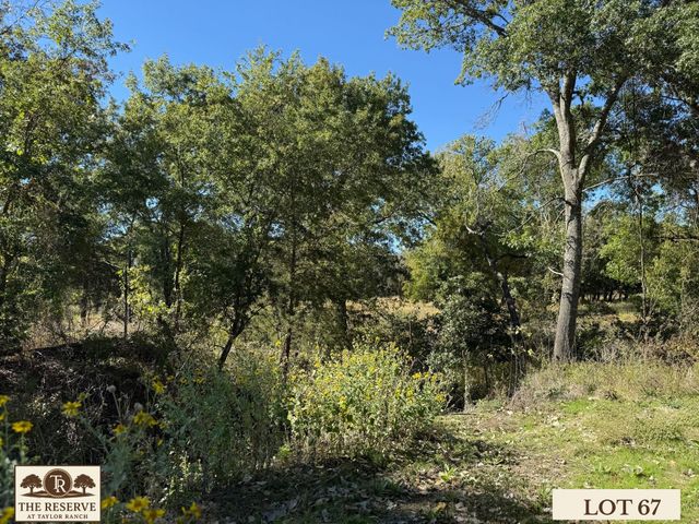 Lot 67 Camden Lane, Springtown, TX 76082