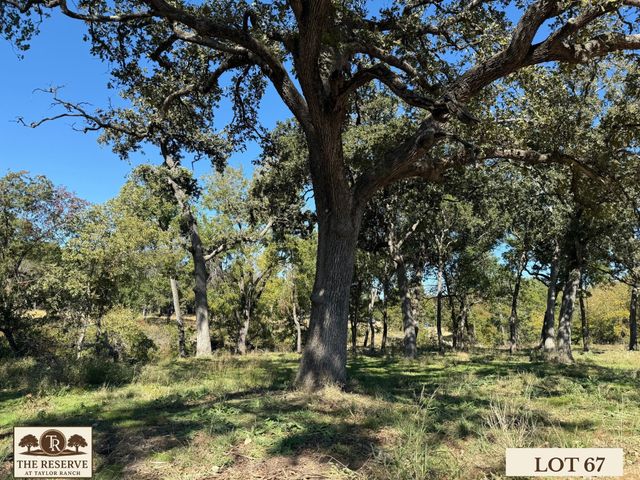 Lot 67 Camden Lane, Springtown, TX 76082