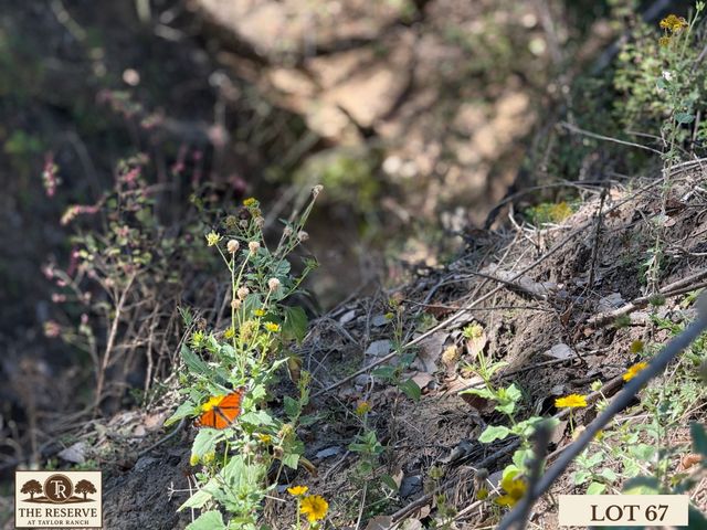 Lot 67 Camden Lane, Springtown, TX 76082