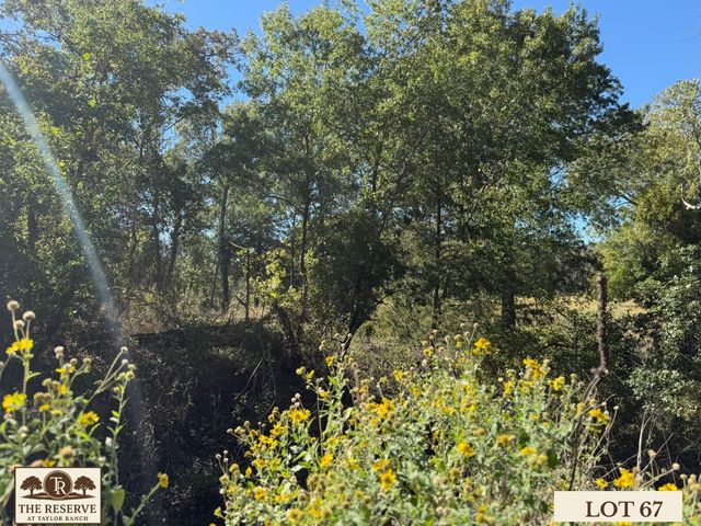 Lot 67 Camden Lane, Springtown, TX 76082