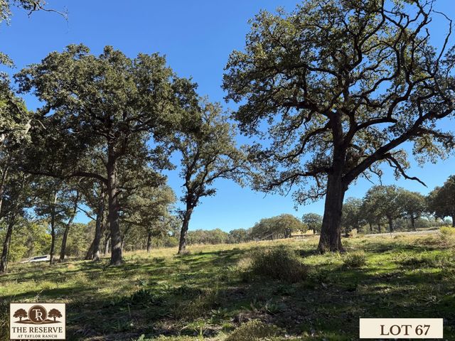 Lot 67 Camden Lane, Springtown, TX 76082