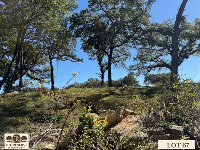 Lot 67 Camden Lane, Springtown, TX 76082