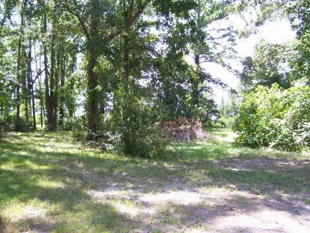 138 Inlet Drive, Livingston, TX 77351