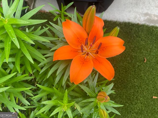 3985 Duke Reserve Circle, Peachtree Corners, GA 30092