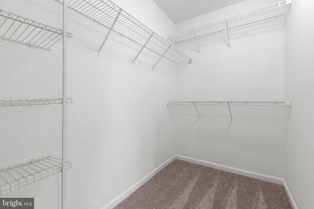 8647 ROSECRANS LN, Spotsylvania, VA 22553