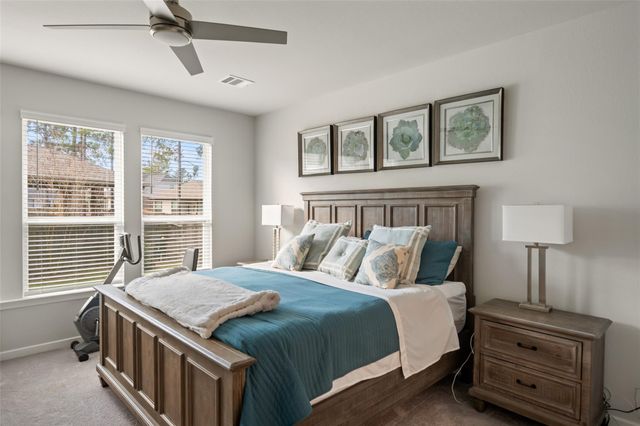 305 Royal Lily Trail, Montgomery, TX 77316