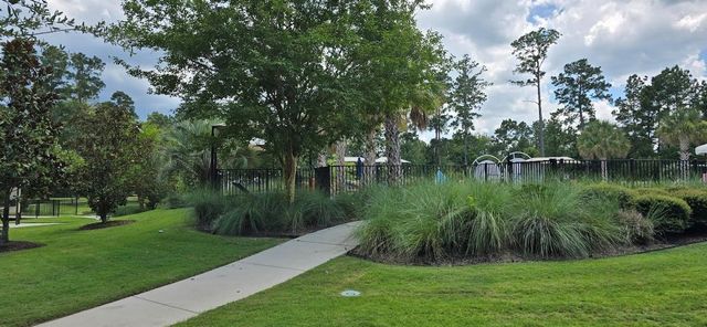 305 Royal Lily Trail, Montgomery, TX 77316