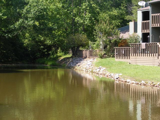 62 DRIFTWOOD RD, Counce, TN 38326