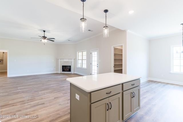 7658 John Elliott Lane, Hernando, MS 38632