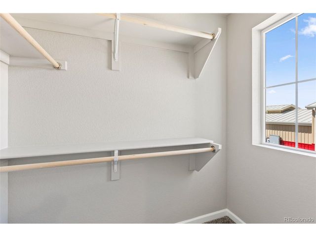 1446 Coral Pl, Longmont, CO 80504