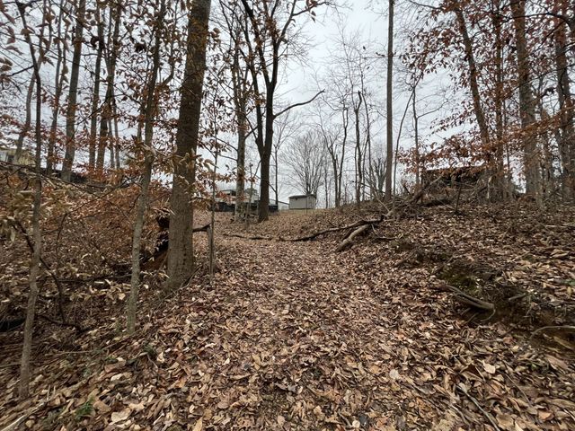 75 New Harmony Rd, Lafayette, TN 37083