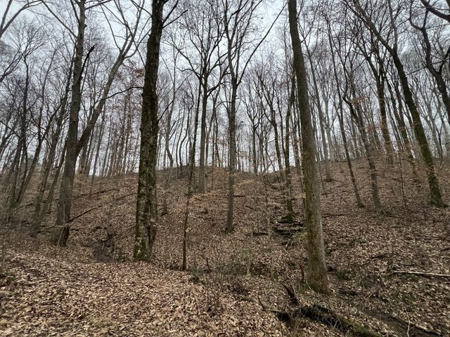 75 New Harmony Rd, Lafayette, TN 37083