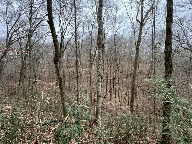 75 New Harmony Rd, Lafayette, TN 37083