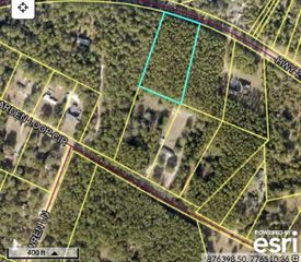 0 Hwy 204 Highway, Ellabell, GA 31308