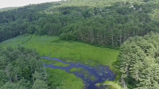 0 Blood Road, Charlton, MA 01507