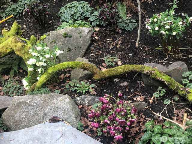 3007 S Court Street, Seattle, WA 98144